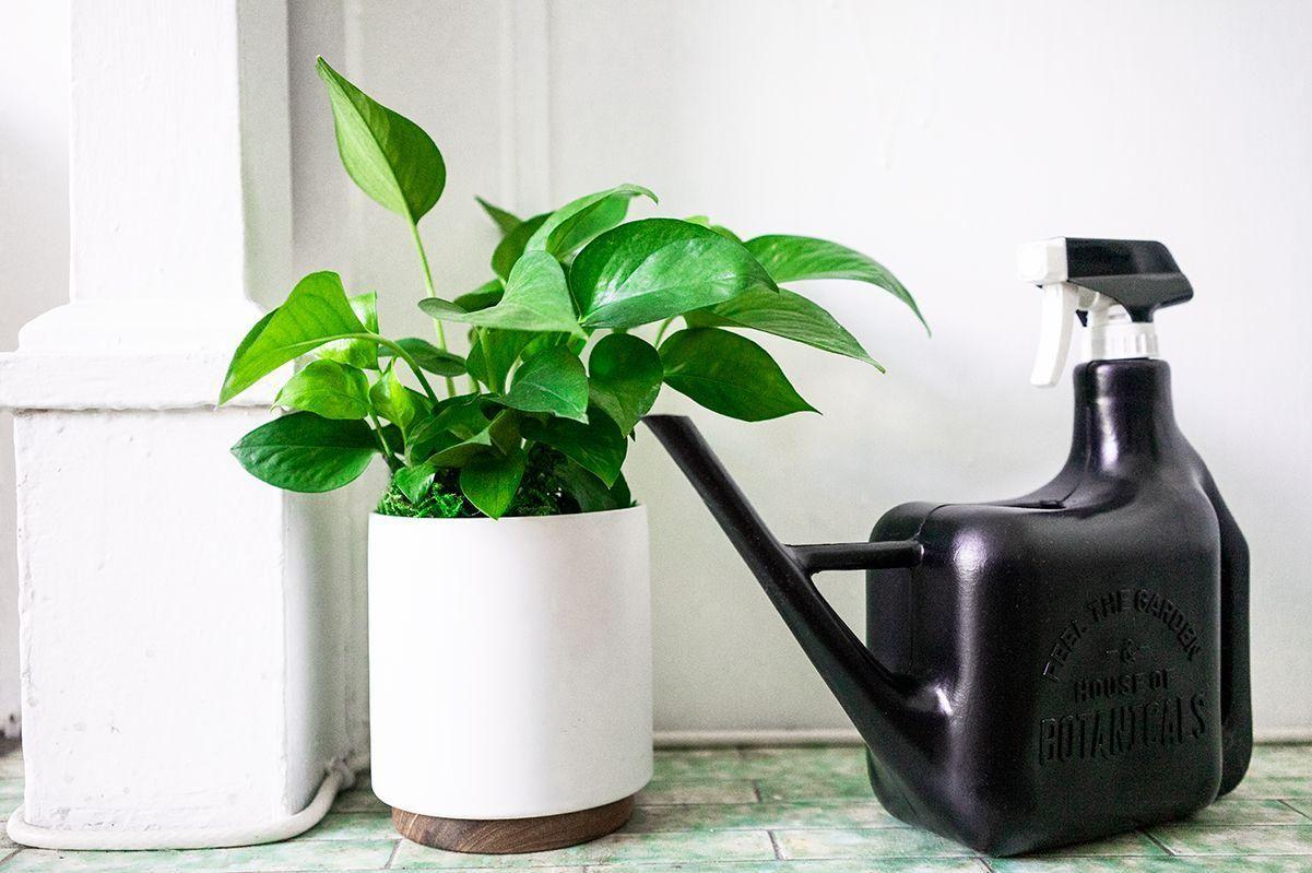 Arrosoir et Vaporisateur House of Botanicals