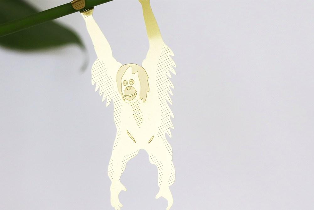 Plant Animal Orang Outan