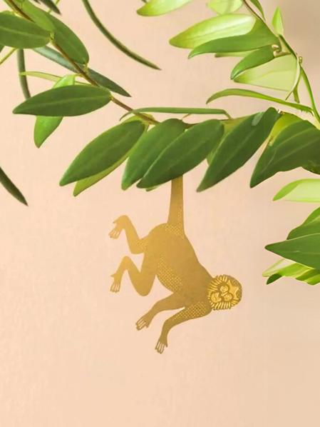Plant Animal - Spider Monkey