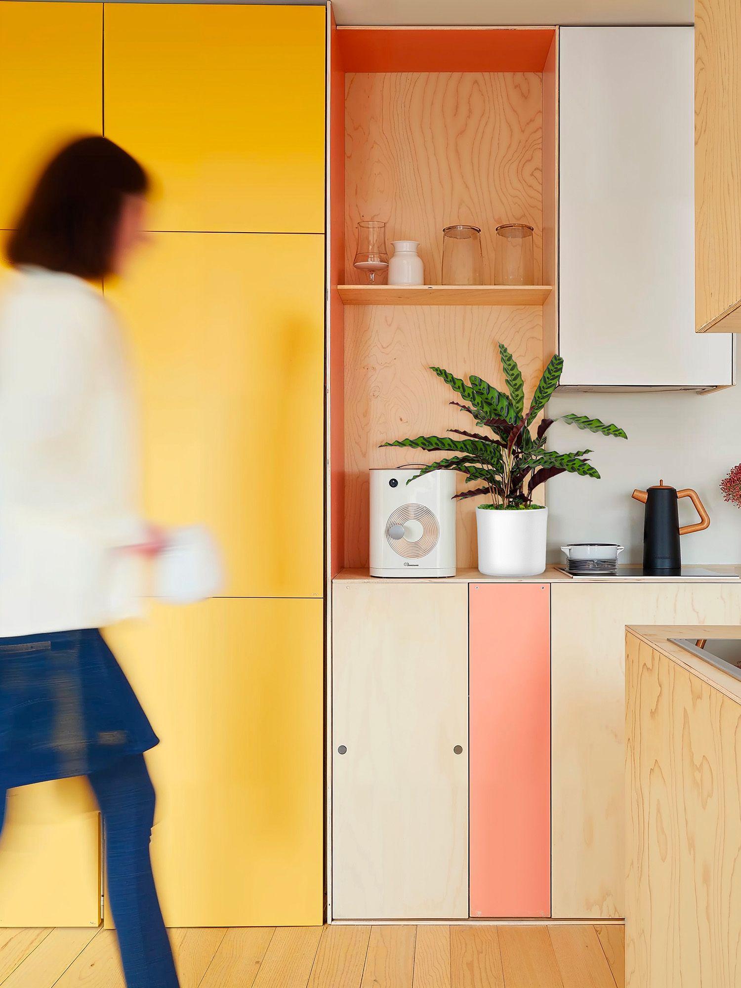 Découvrez notre sélection de plantes vertes en pot parfaites pour apporter une touche de verdure à votre cuisine.