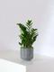 Joyau de Zanzibar