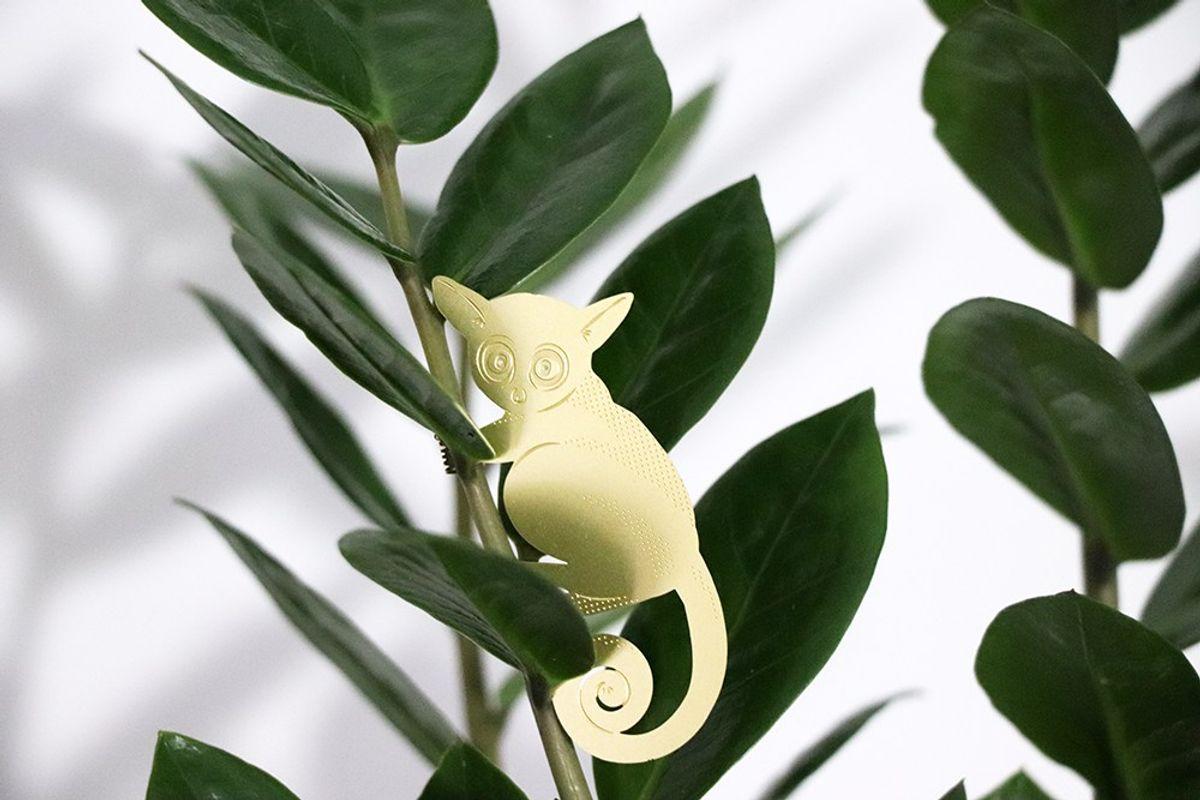 S/3 Plant Animals - Galago & co