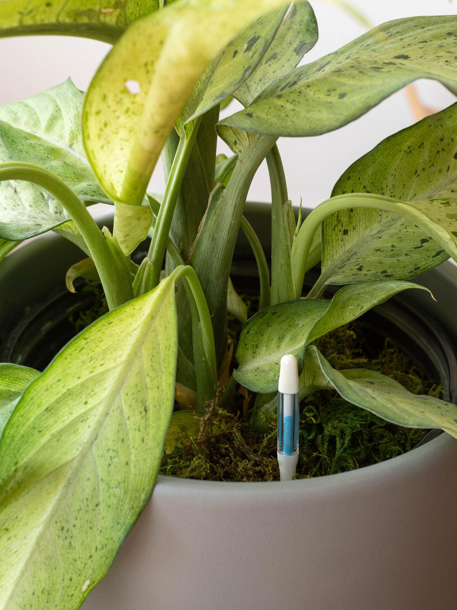 The Complete Moisture Meter Set