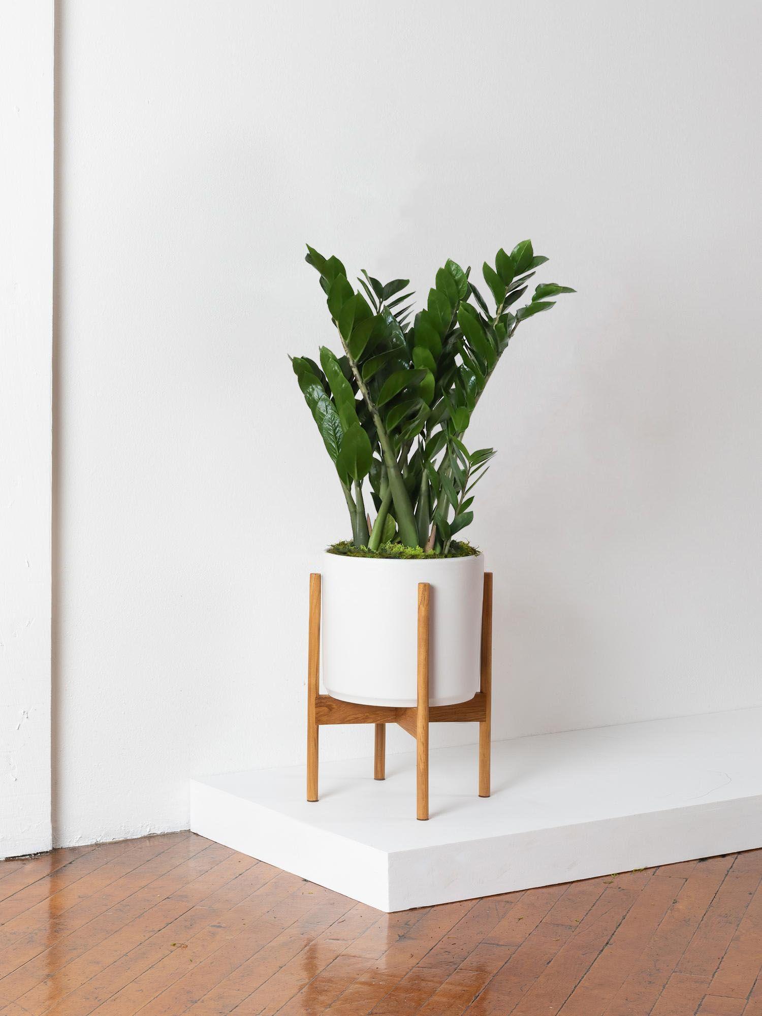 Support de plante pour cache-pots Velvet