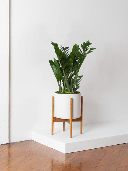 Support de plante pour cache-pots Velvet