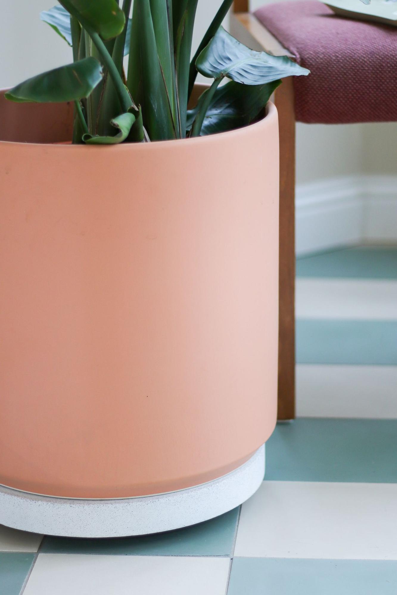 Rolling Plant Stand