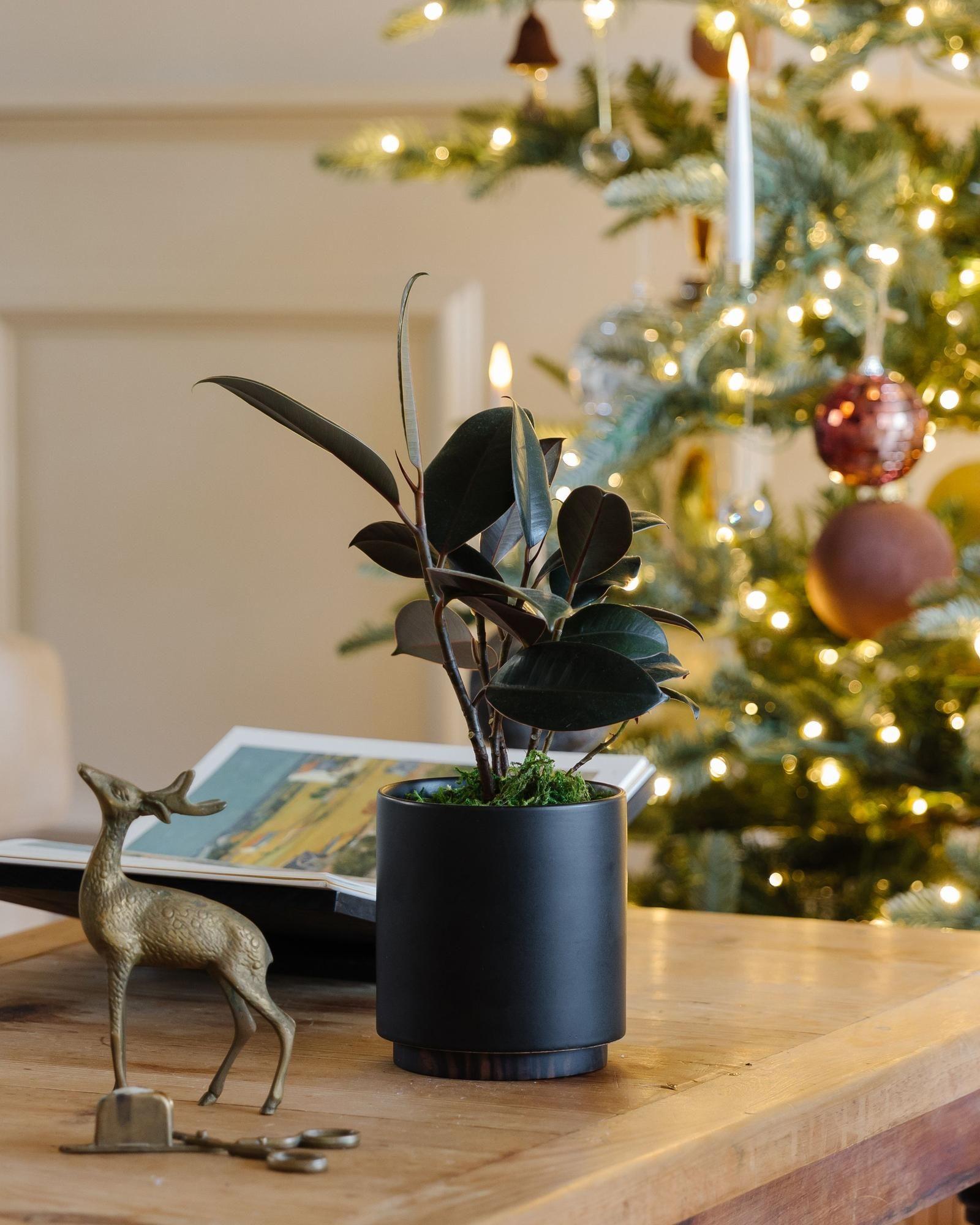 Living Well, Breathing Better