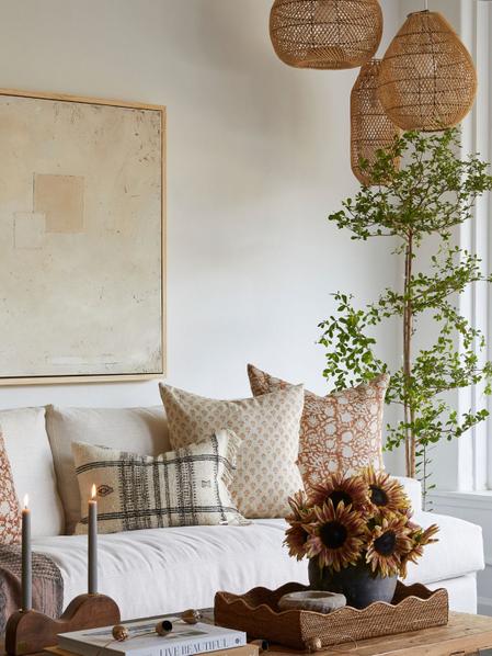 Black Olive Tree