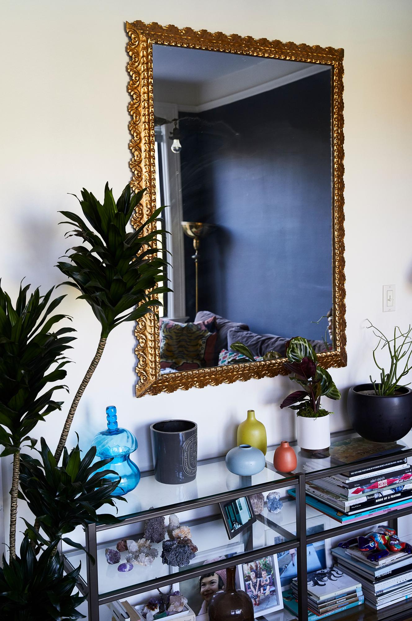 Dracaena Compacta - Nouvelle Ceramic