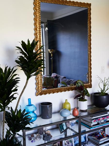 Dracaena Compacta - Nouvelle Ceramic