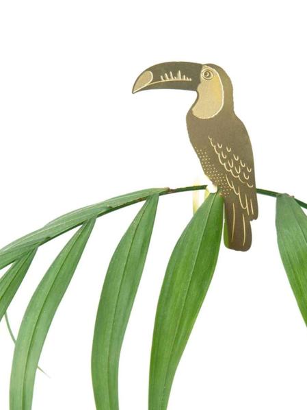 Plant Animal - Toucan