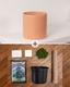 Mid-Century Cylinder - The Fourteen
