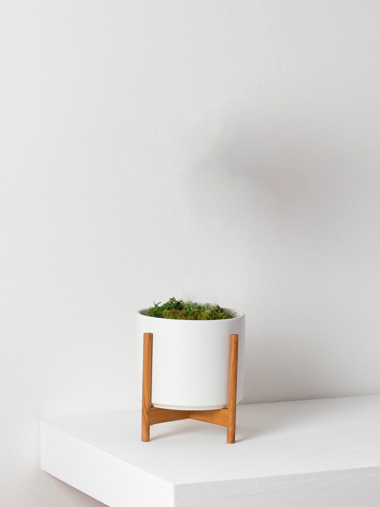 Cache-pot Velvet - Le 20