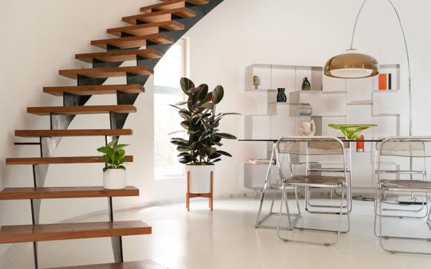 Des plantes d'intérieur au style unique