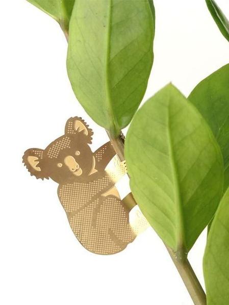 Plant Animal Surprise