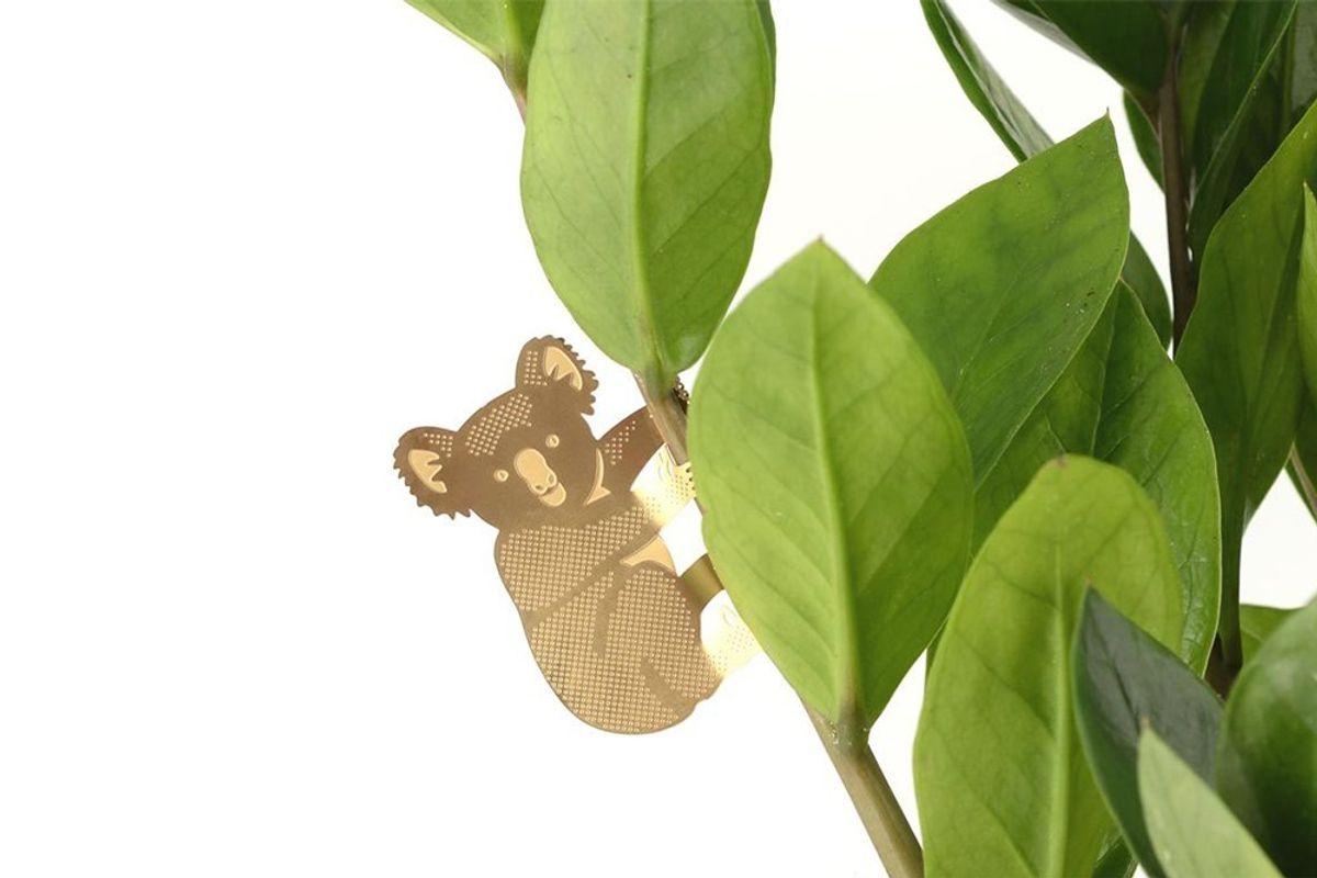 S/3 Plant Animals - Paresseux & co