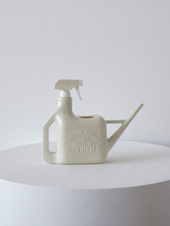 indoor plants picture