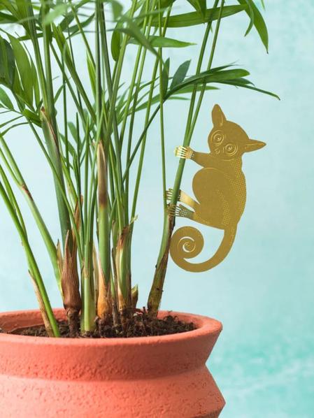 Plant Animal - Bush Baby