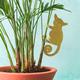 Plant Animal - Bush Baby