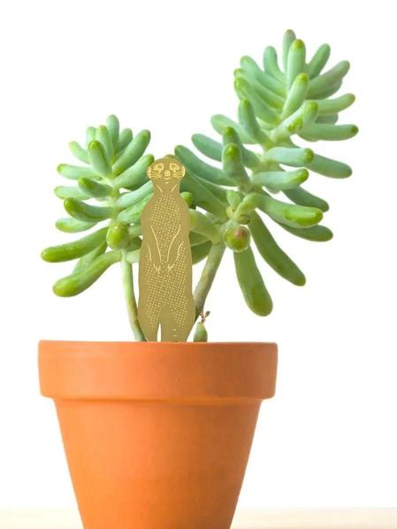 Plant Animal Surprise