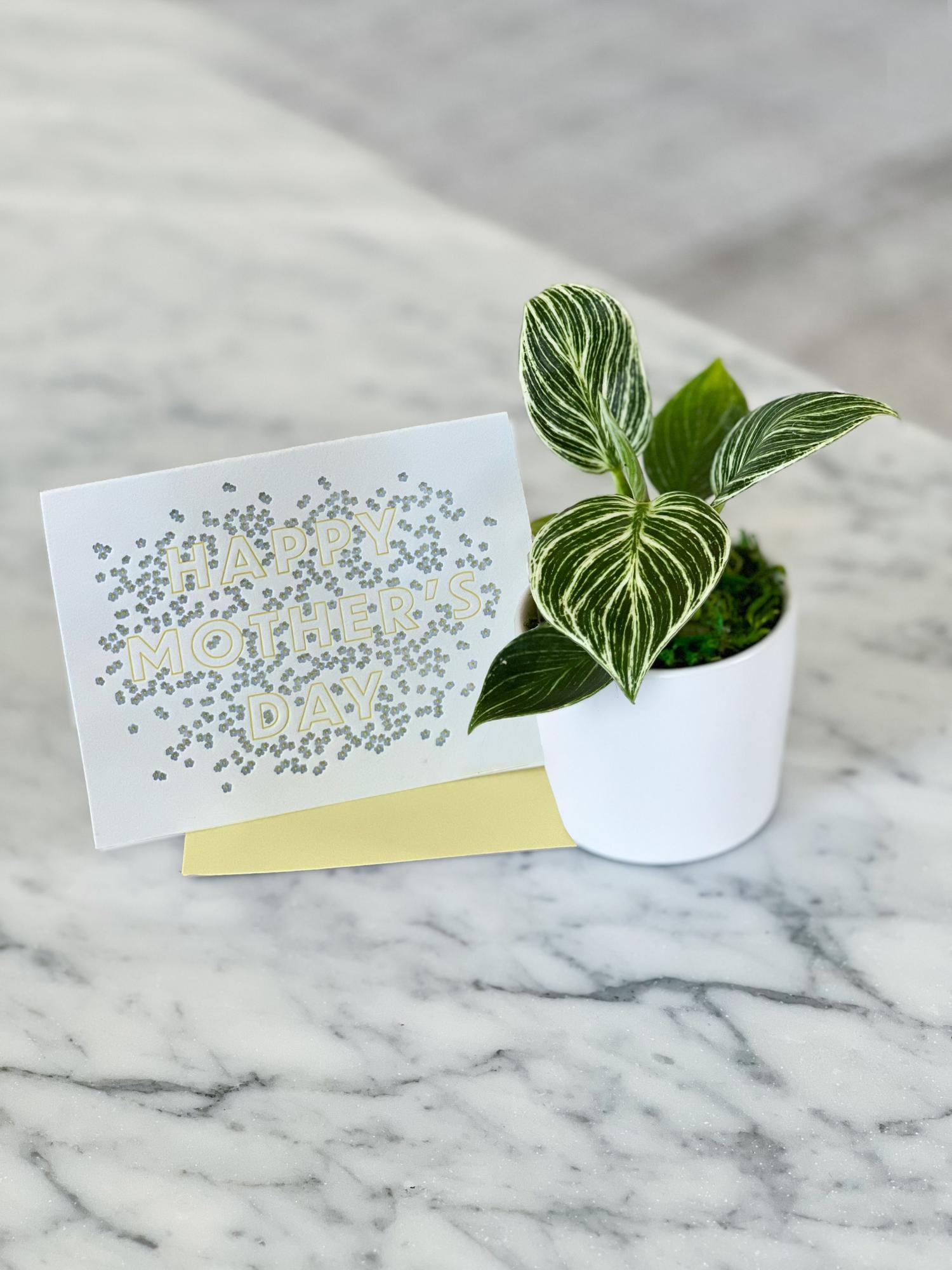 Bébé Birkin With Letterpress Card