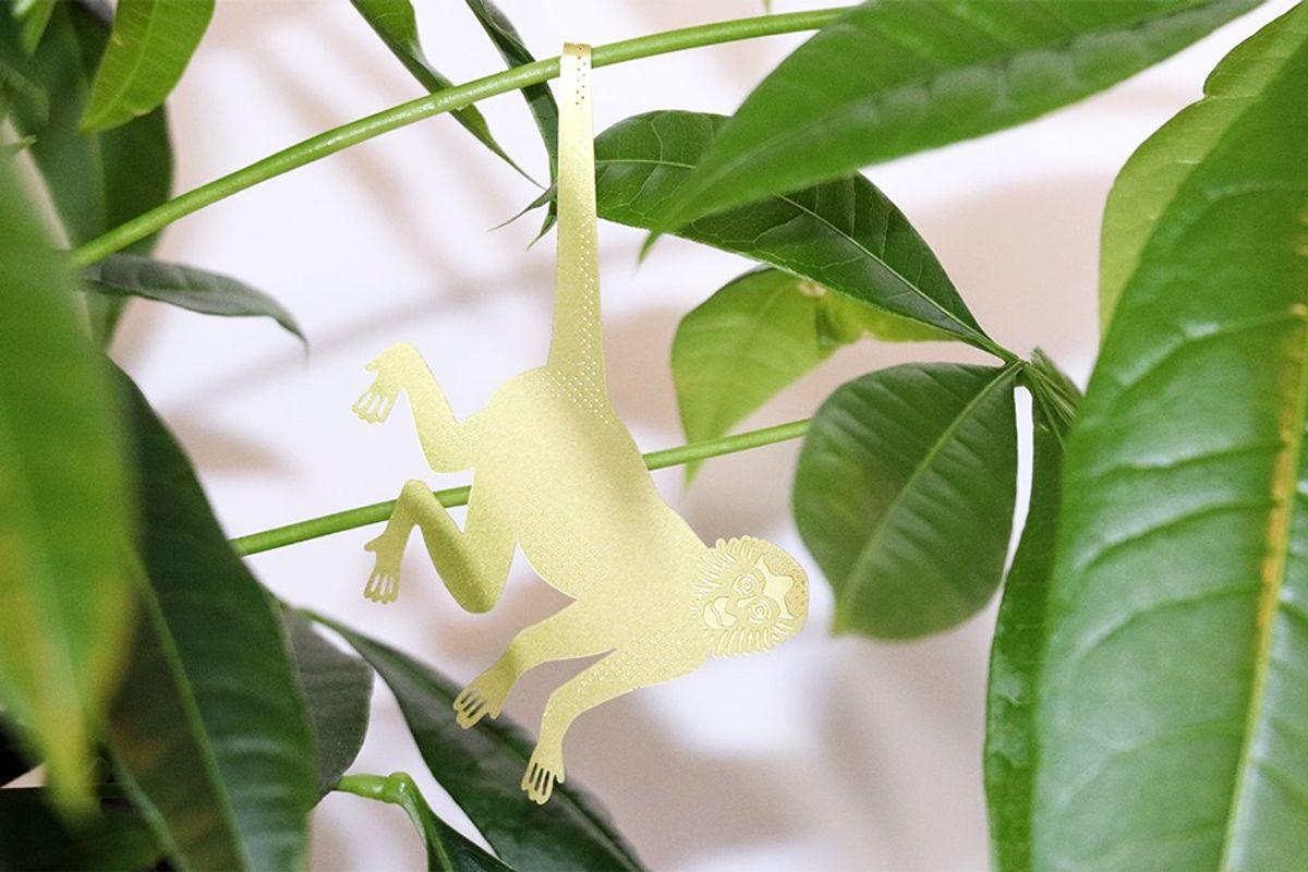 S/3 Plant Animals - Caméléon & co