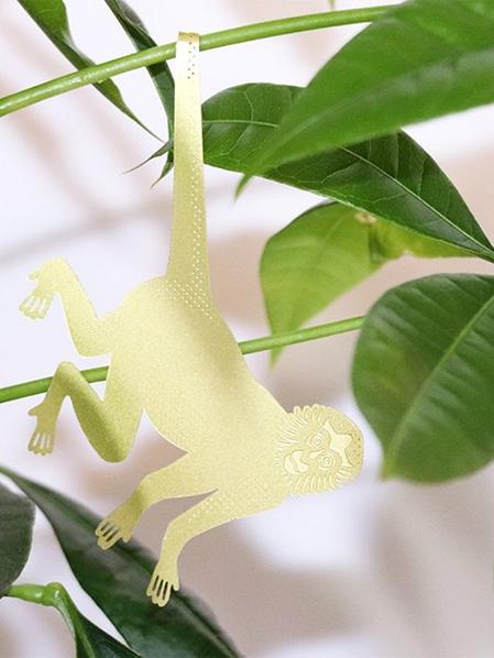 S/3 Plant Animals - Caméléon & co