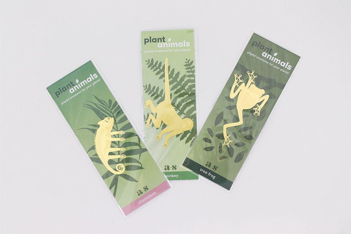 S/3 Plant Animals - Caméléon & co