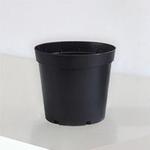 Ficus Elastica Robusta - Pot Horticole - L 28cm