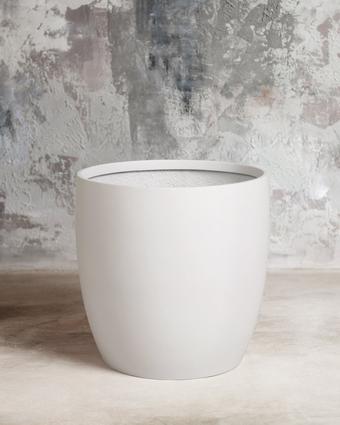 indoor plants picture