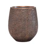 Arbre Ficus Alii - Le 30 - Dune cuivre 