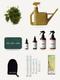 Verdant Vitality Kit