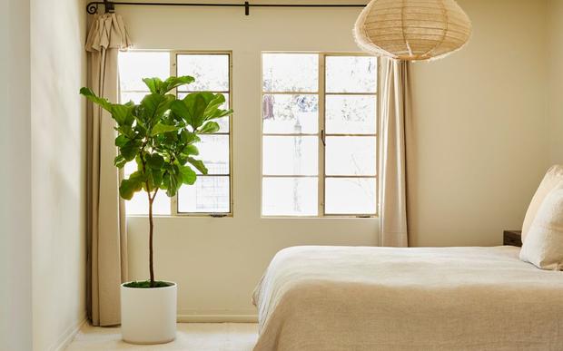 The Ultimate Statement Pieces