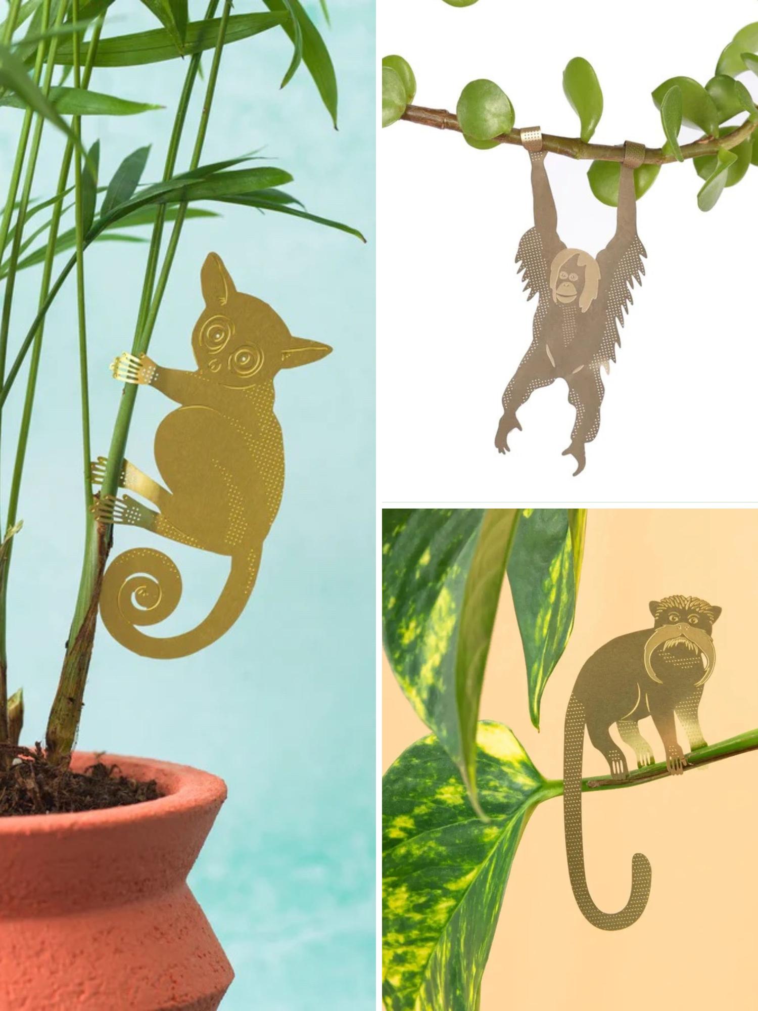Plant Animal Trio