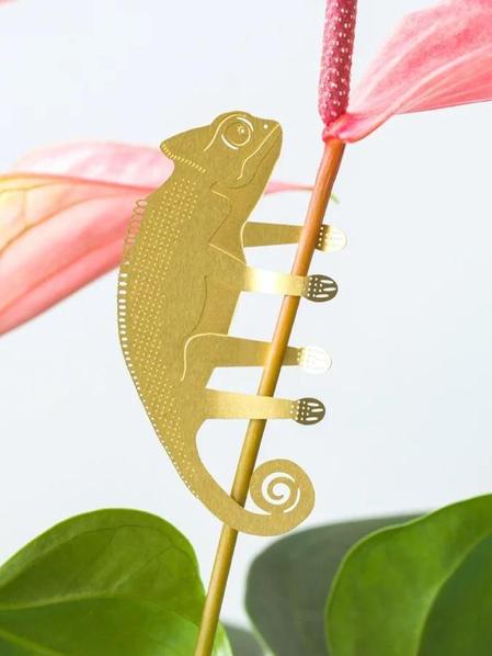 Plant Animal Surprise