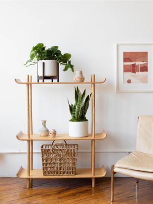 Complements to Your Living Greenery