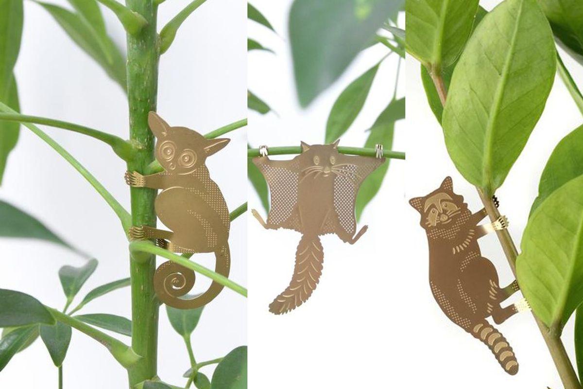 S/3 Plant Animals - Galago & co