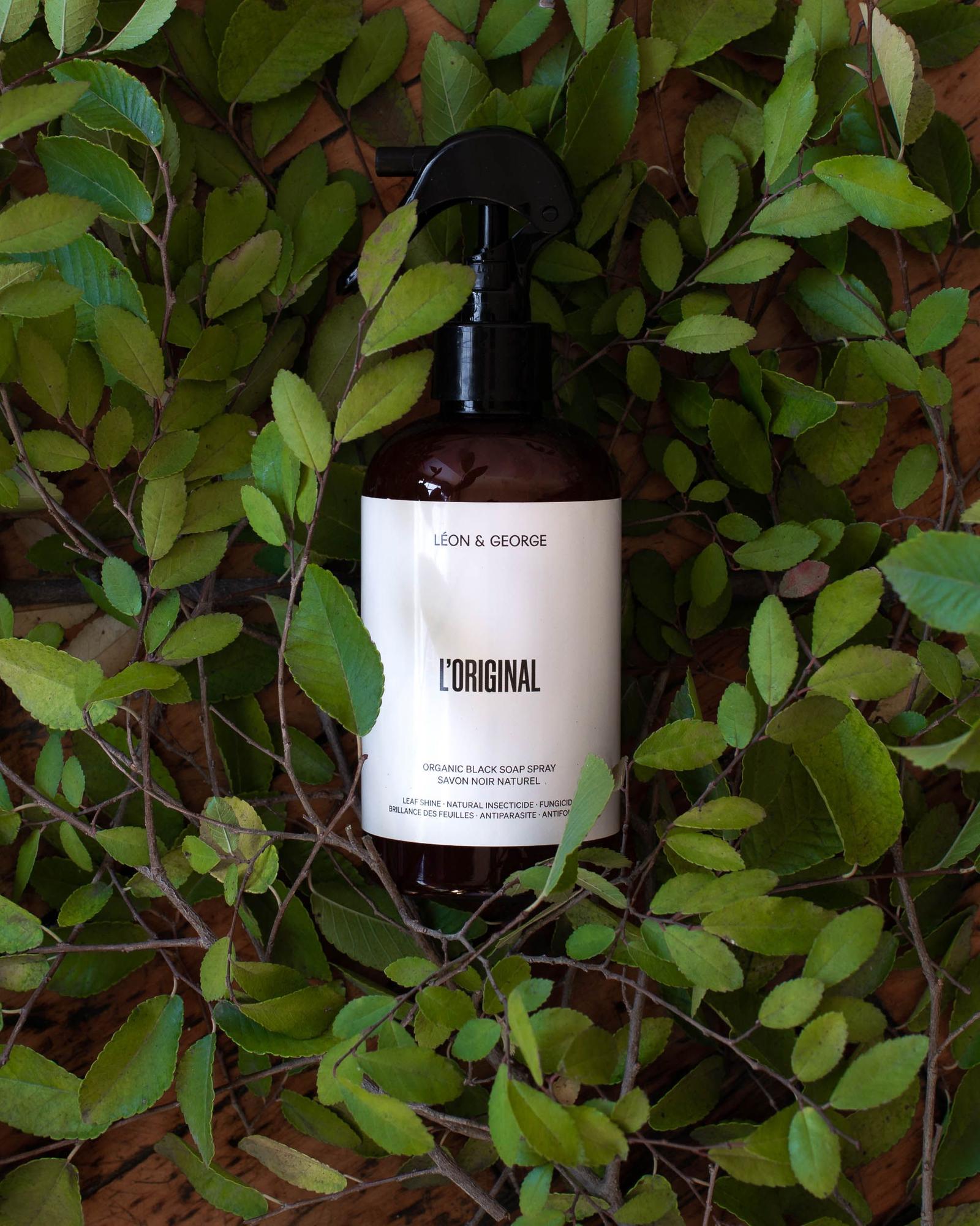 Organic Black Soap Spray