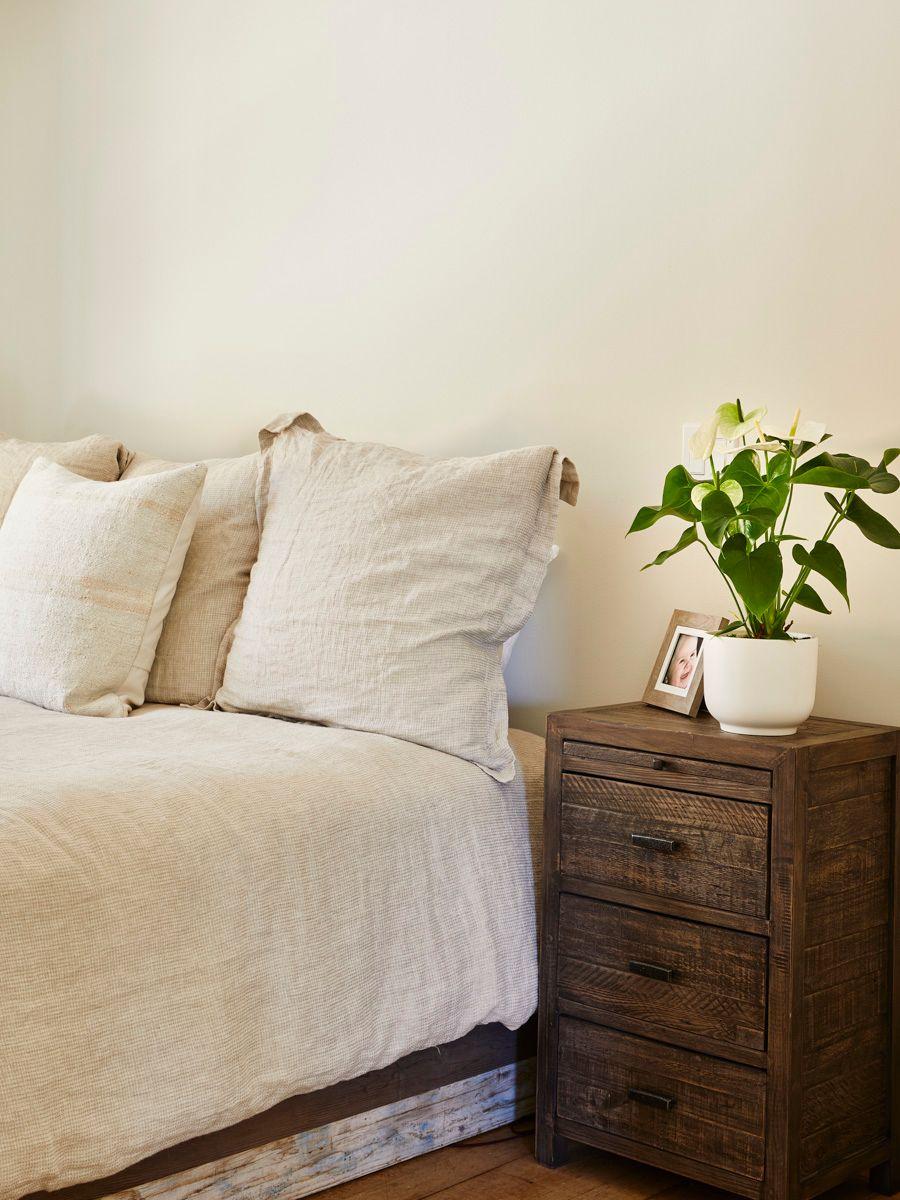 Queen Anthurium - Nouvelle