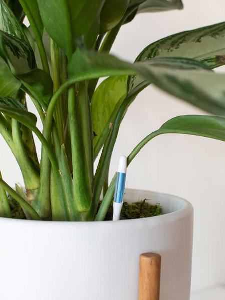 Contrôleurs d'arrosage