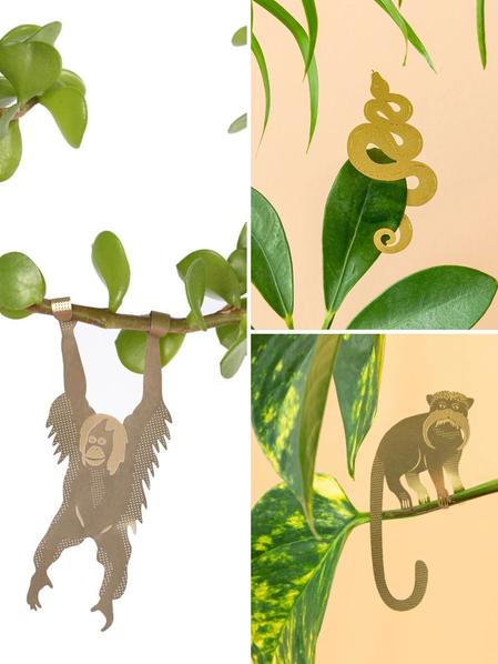 Plant Animal Trio