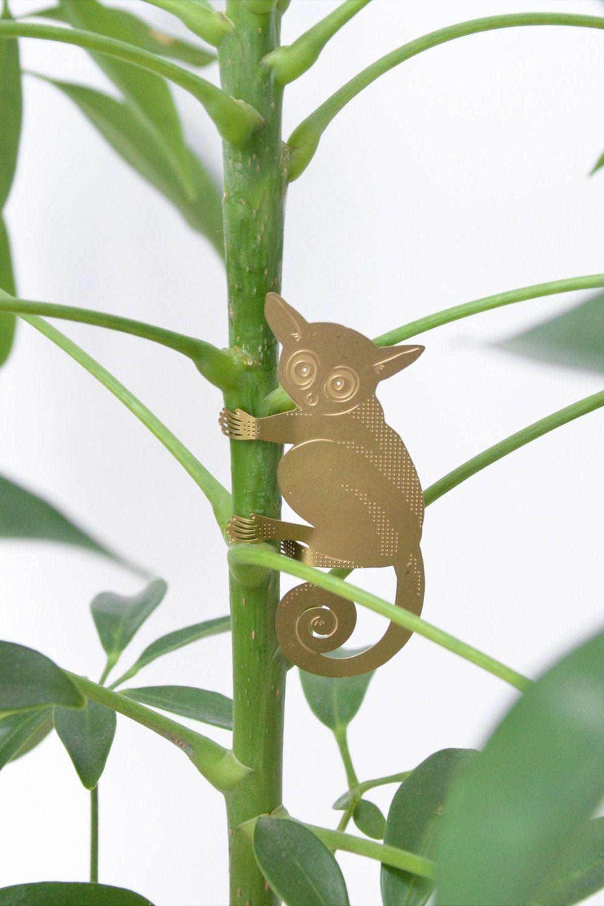 Plant Animal - Bush Baby