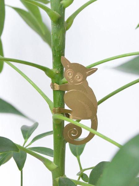 Plant Animal - Bush Baby