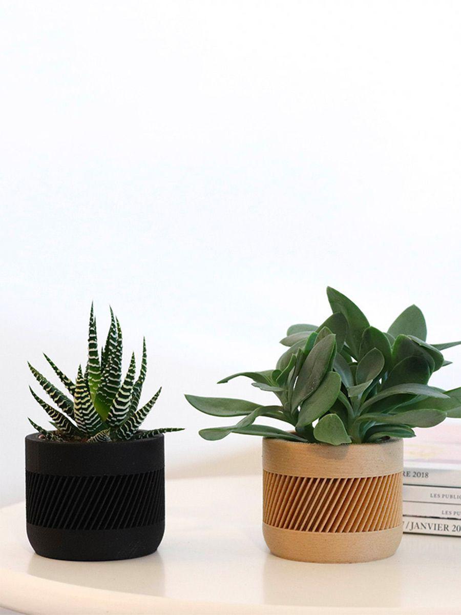 Duo Big Band X Senecio