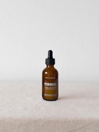 indoor plants picture