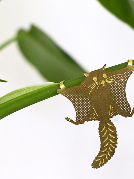 Plant Animal Ecureuil volant