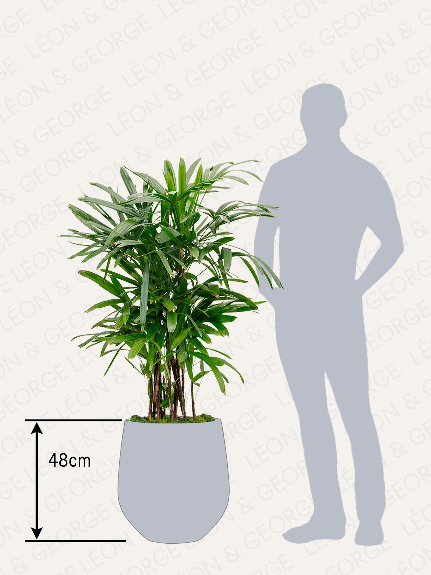 Cache-pot Dune - Le 30