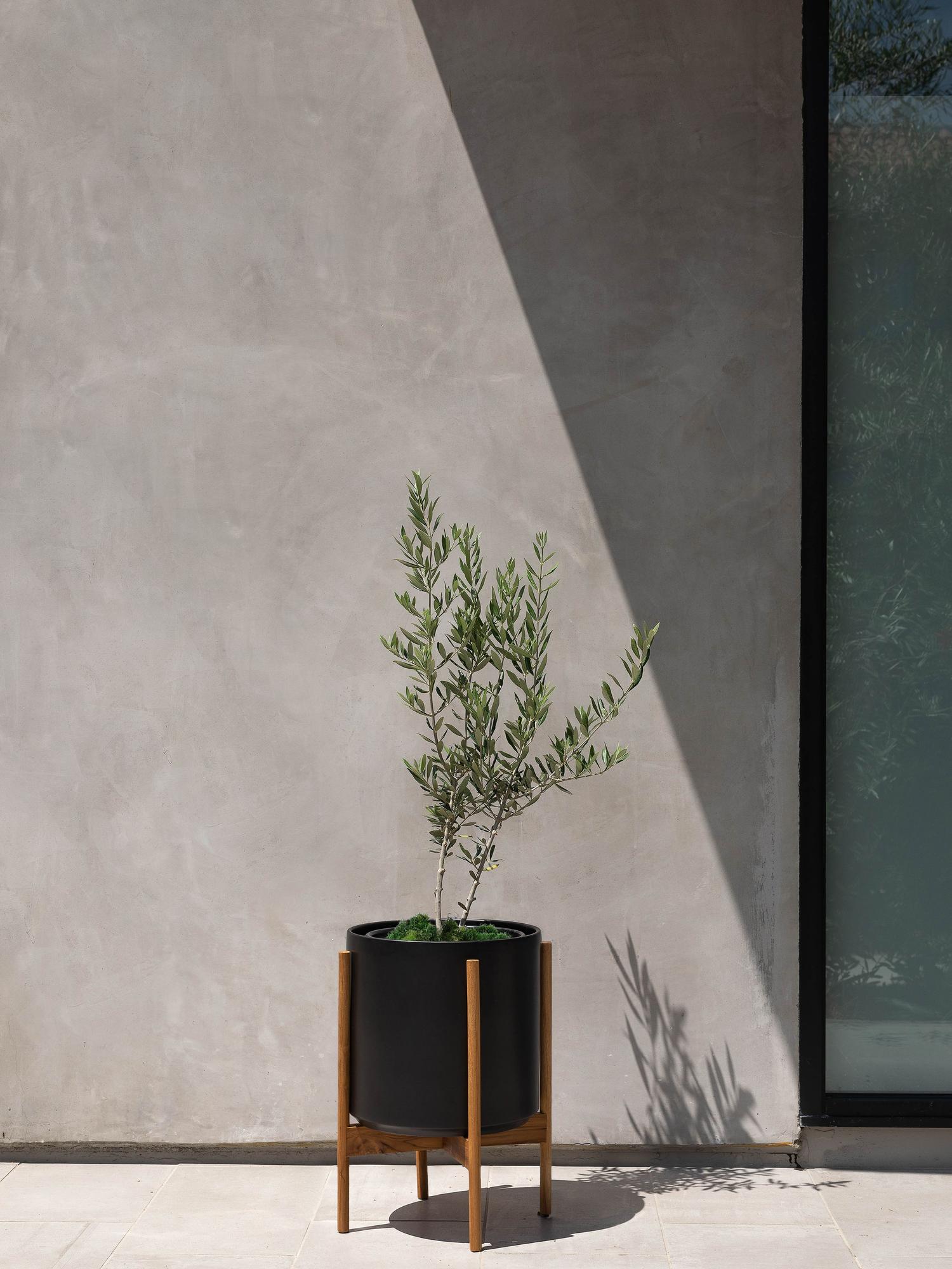 Olive Bush Large (2 ft tall) – White Mid-Century Ceramic & Light