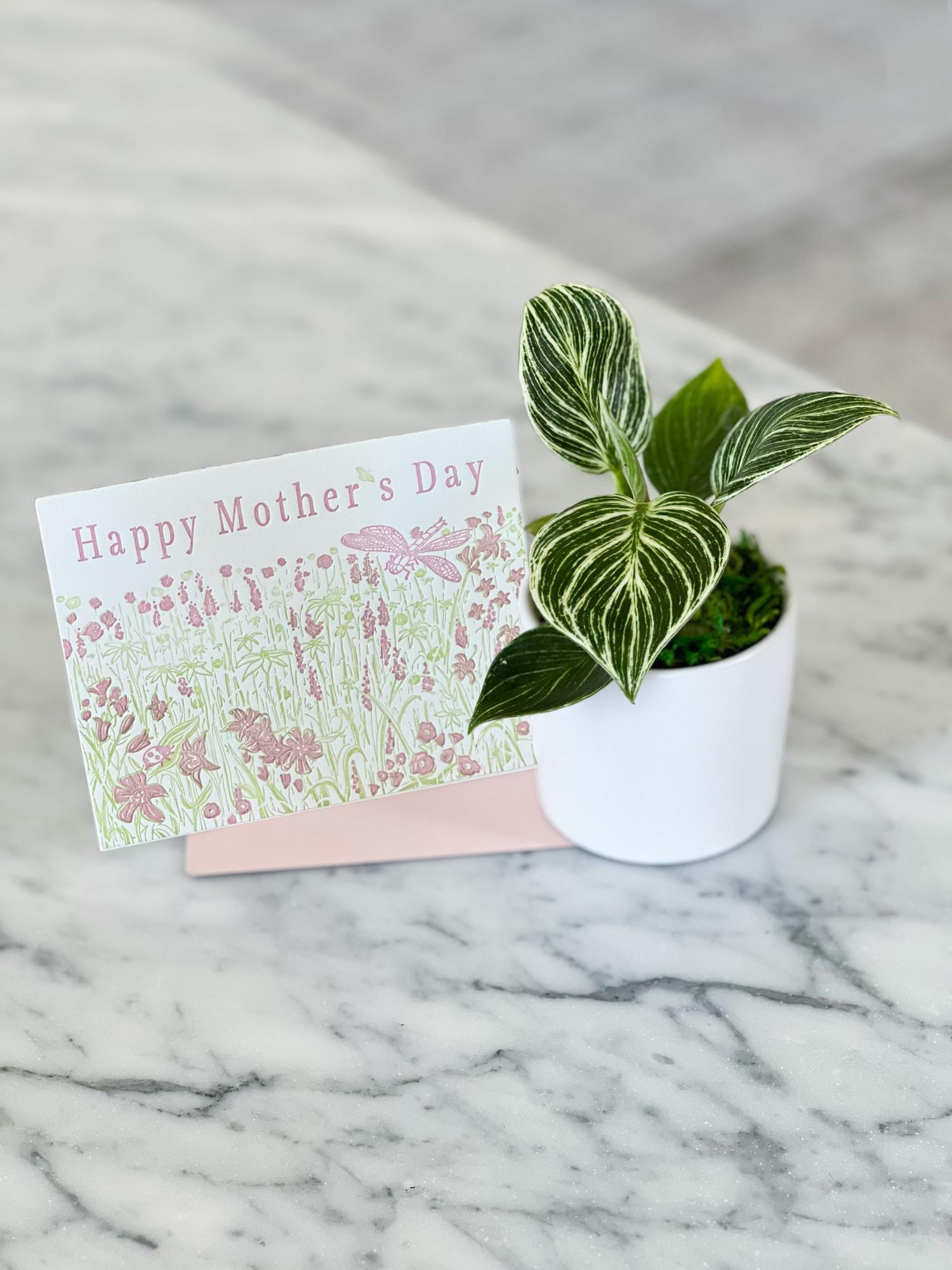 Bébé Birkin With Letterpress Card