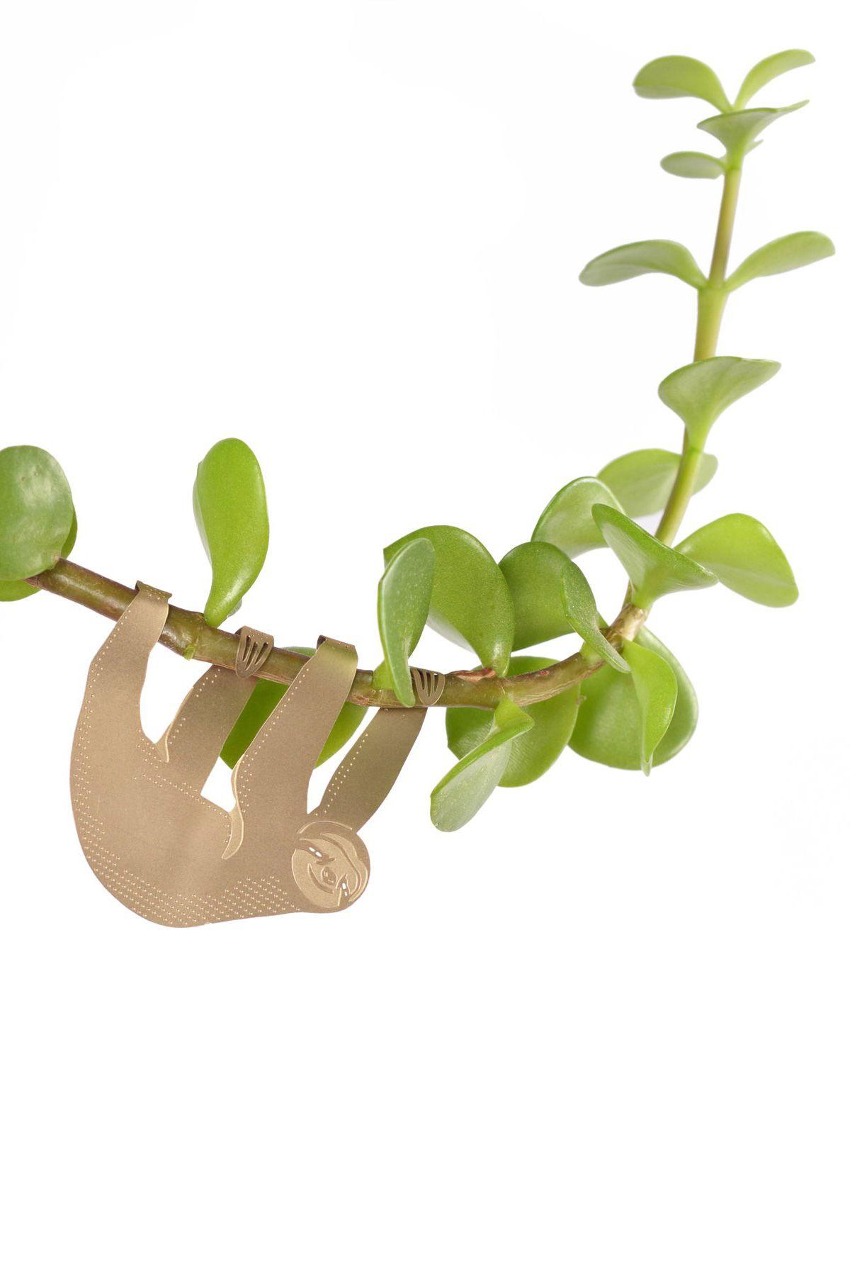 Plant Animal - Sloth